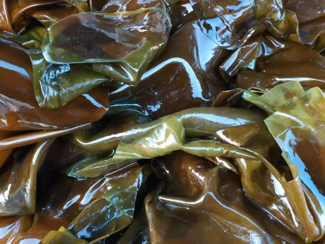 今日水產(chǎn)價格最新動態(tài)及論述分析