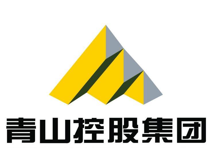 青山控股是否上市？解析其上市計(jì)劃與現(xiàn)狀