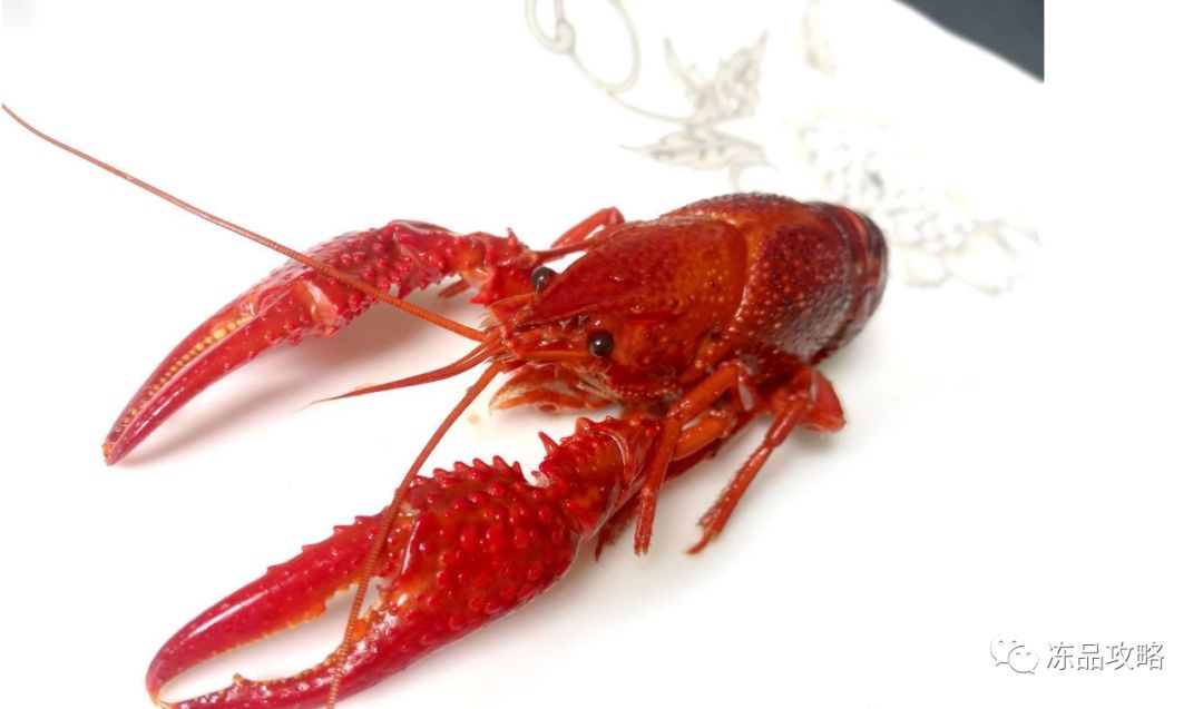 龍蝦價(jià)格變遷，時(shí)代印記與特定影響因素的探究