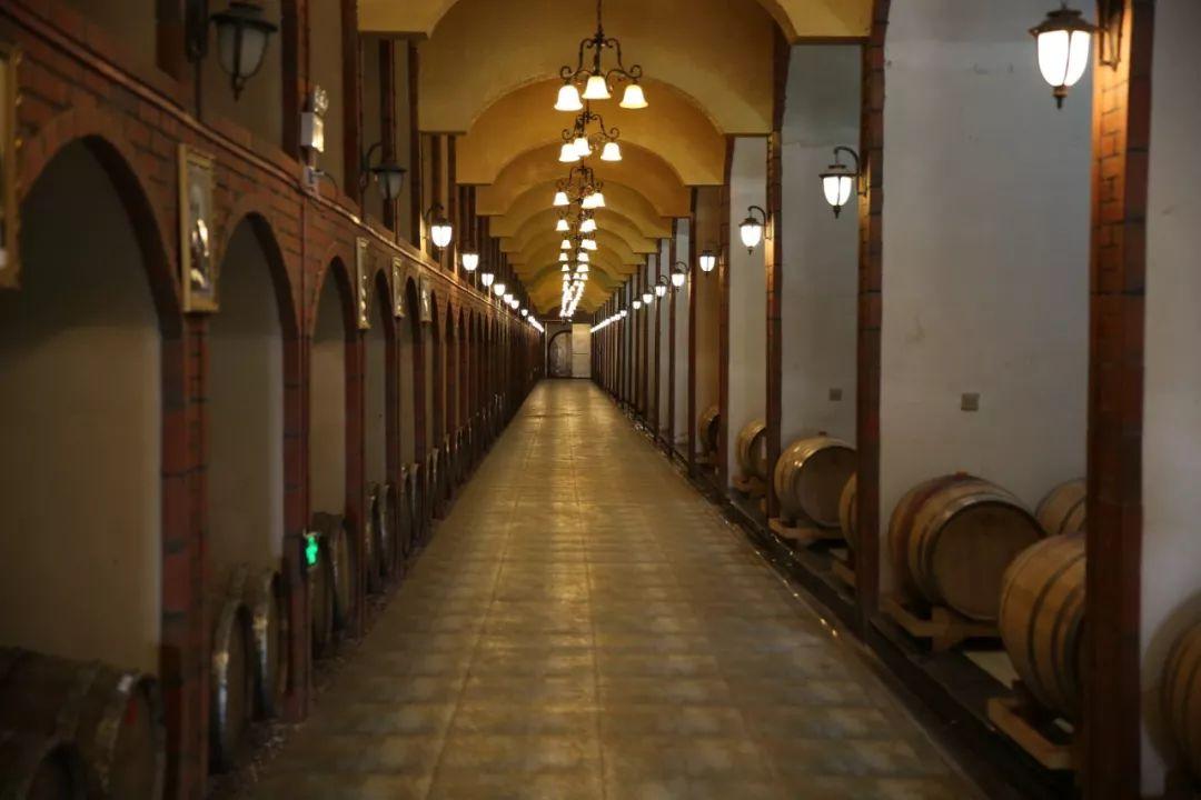 蘇州信匯達(dá)最新動態(tài)，友情的紐帶與溫馨的陪伴