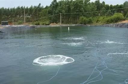 池晚與老公情感復(fù)合的深層次探討及最新章節(jié)更新動態(tài)