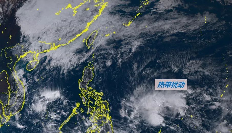 熱帶氣旋最新動態(tài)與風(fēng)暴中的溫情故事