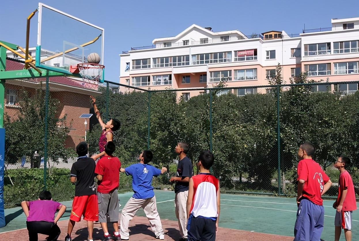 高考最新動(dòng)態(tài),高考最新動(dòng)態(tài)，一場心靈與自然的奇妙旅行