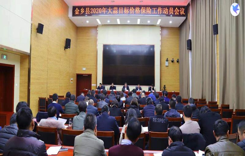 金鄉(xiāng)大蒜今日最新價(jià)格及市場(chǎng)走勢(shì)與產(chǎn)業(yè)洞察分析