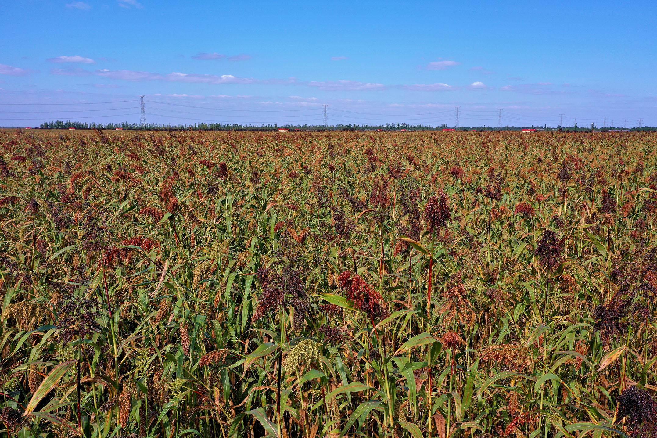 電視劇與自然美景之旅，探尋內(nèi)心的平和與喜悅之旅