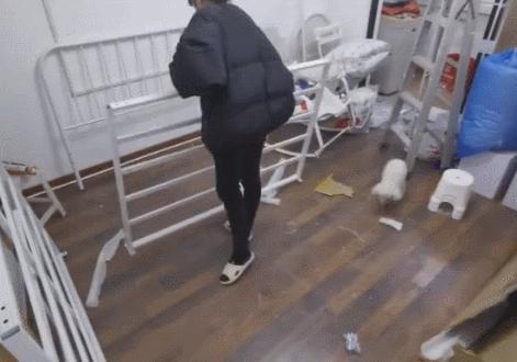 二手房市場動態(tài),二手房市場動態(tài)