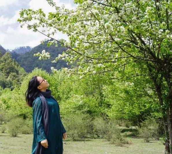 梨樹吧最新動(dòng)態(tài)更新速遞