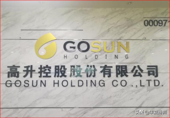 上市公司擔(dān)保公司的概念與解析