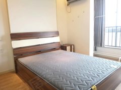 常州最新月租房信息及深度分析