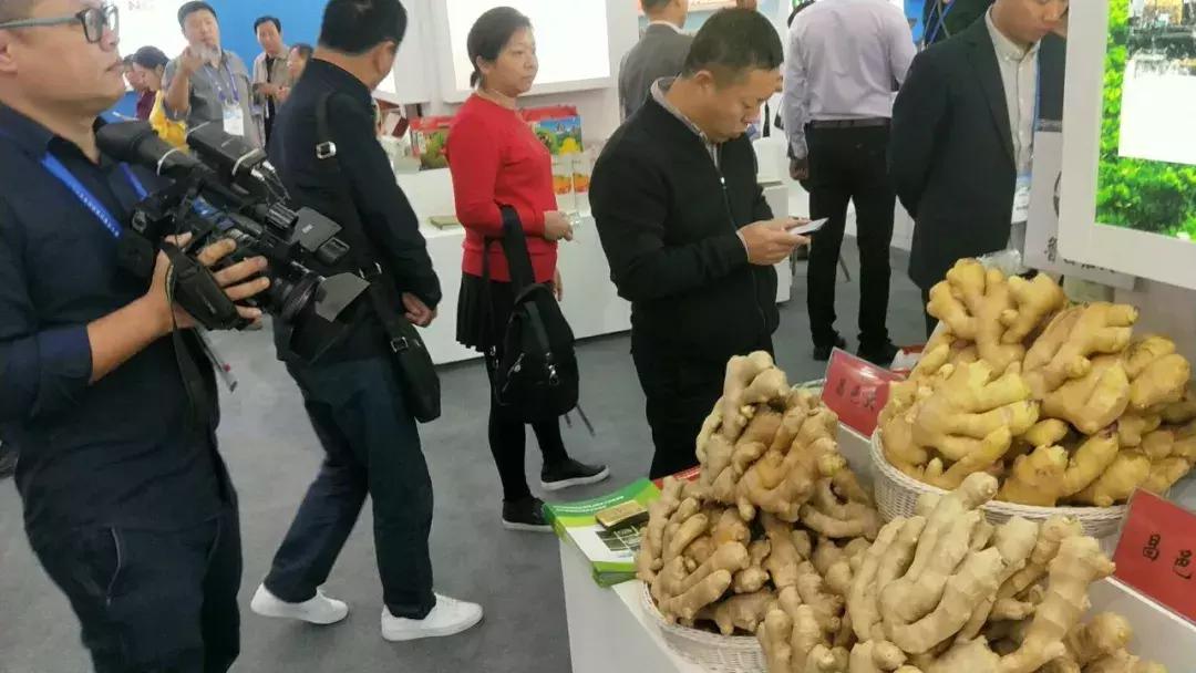 青州大姜最新行情分析與趨勢(shì)預(yù)測(cè)