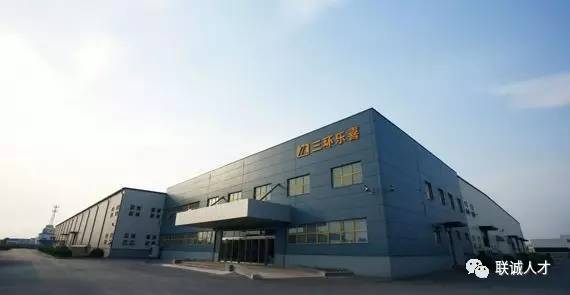 塘沽濱海新區(qū)最新招聘多維度視角下的深度探討