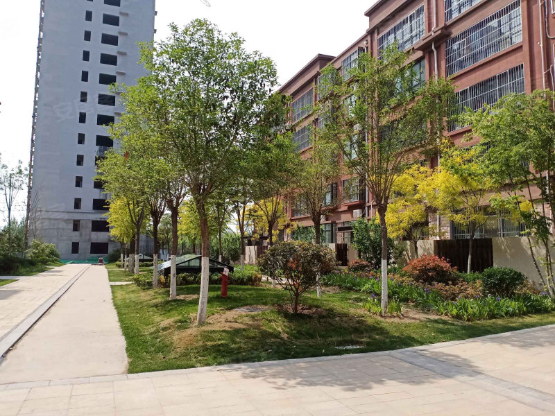 東平書香苑最新價(jià)格概覽及動(dòng)態(tài)分析