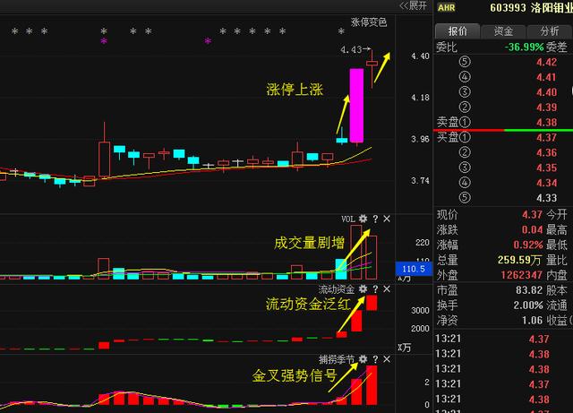 洛陽鉬業(yè)重組最新動態(tài)揭秘，步驟指南與最新進展