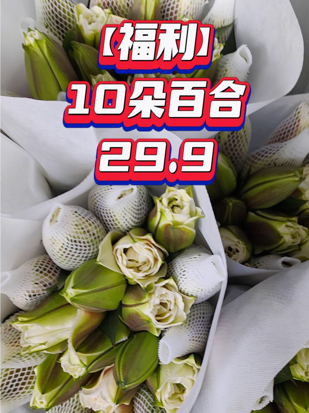 百合價格的多元解讀與解析