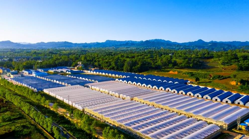 洛南最新項目步驟指南及概述