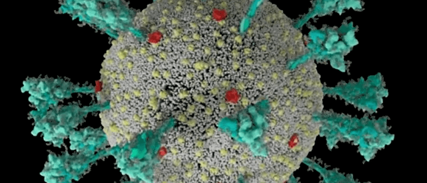 感染最新毒株的奇遇歷程