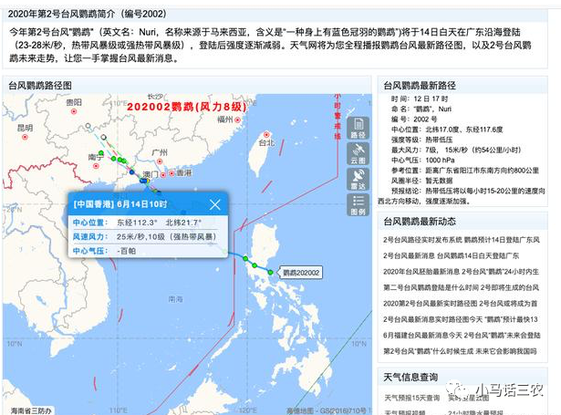 臺(tái)風(fēng)鸚鵡最新路徑探索與巷弄中的美食天堂揭秘
