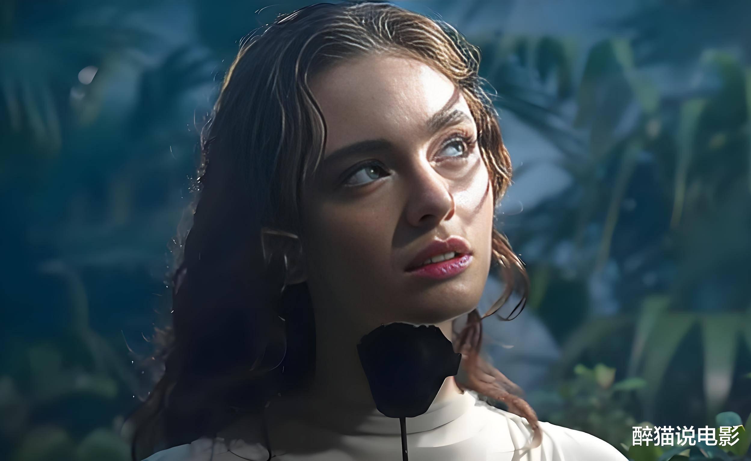 璀璨星輝下的女主影視佳作