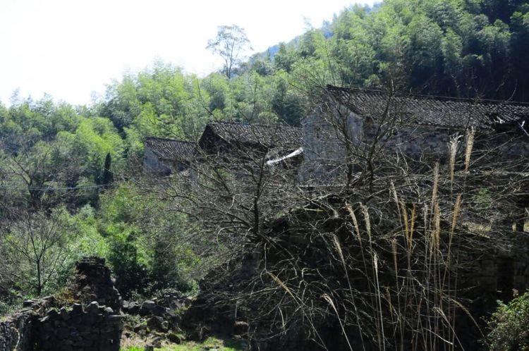 浙江天臺自然美景探索之旅