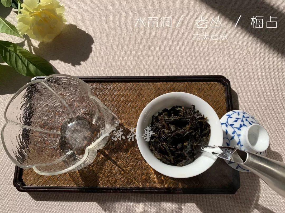 普洱茶的最新國家標準及其解讀與見解