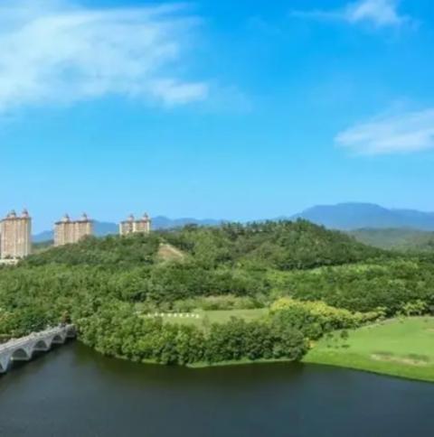 惠州市汝湖鎮(zhèn)最新規(guī)劃探索，小巷深處的獨特風(fēng)情與驚喜