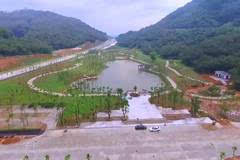 陽江森林公園最新動態(tài)更新，最新消息匯總