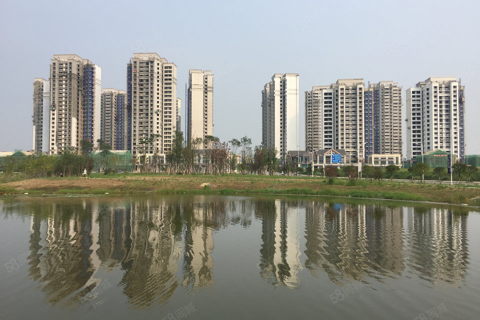 成都天府城邦最新動態(tài)，城市變遷中的共同成長之路