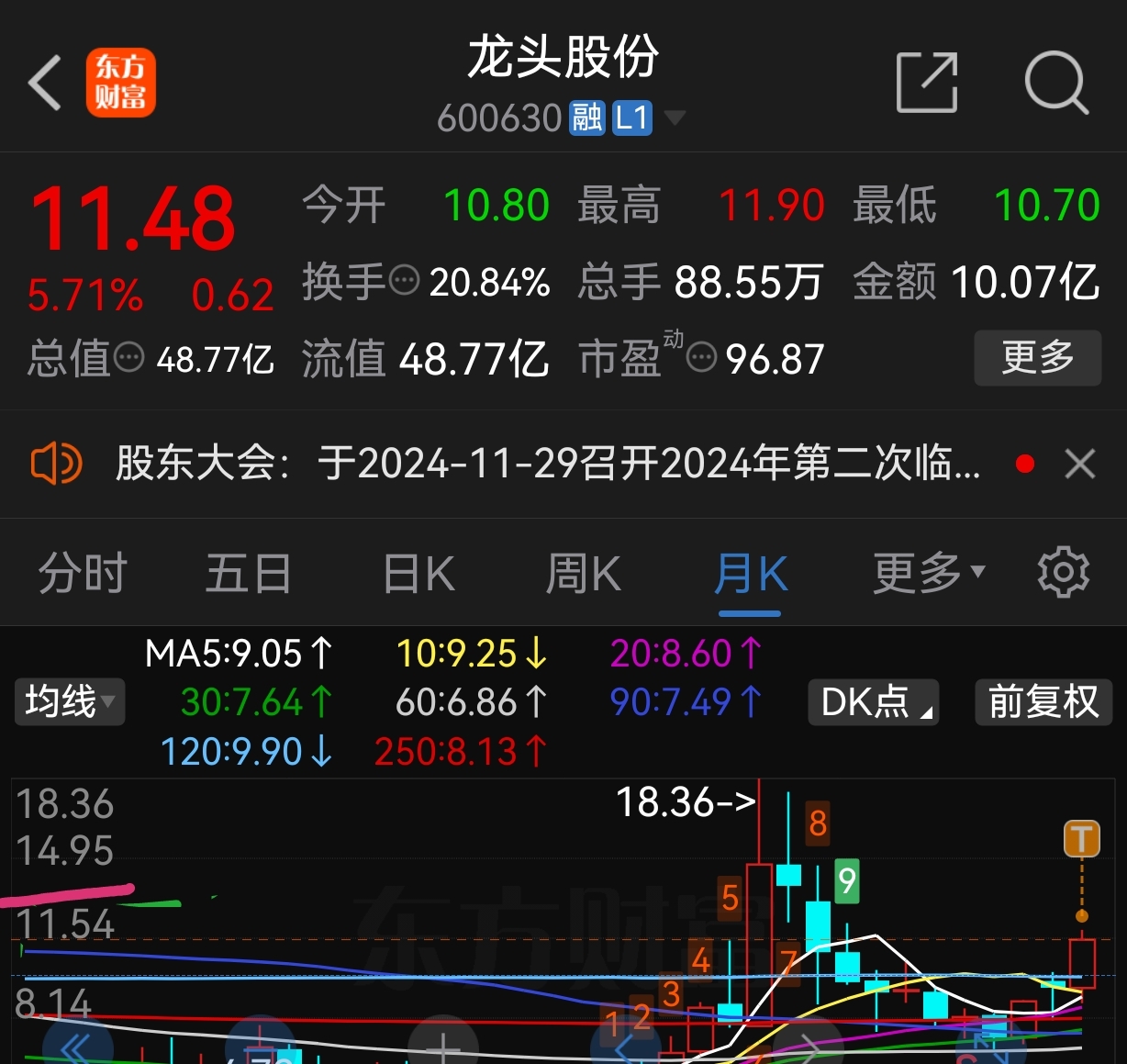 龍頭股份最新消息揭秘，小巷深處的隱藏價(jià)值