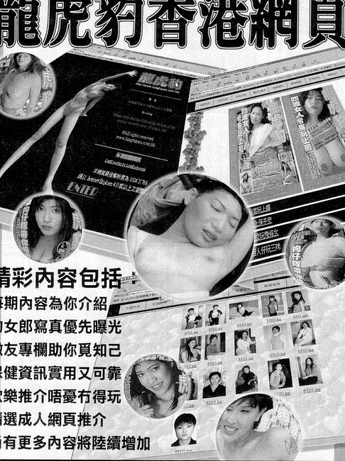 香港龍虎豹最新地址揭秘，探索自然美景，尋覓內(nèi)心寧靜之旅