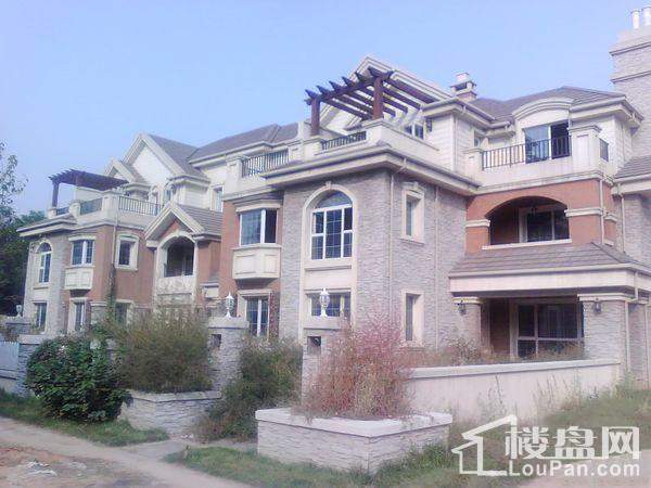 唐山鄉(xiāng)居假日最新動(dòng)態(tài)更新通知